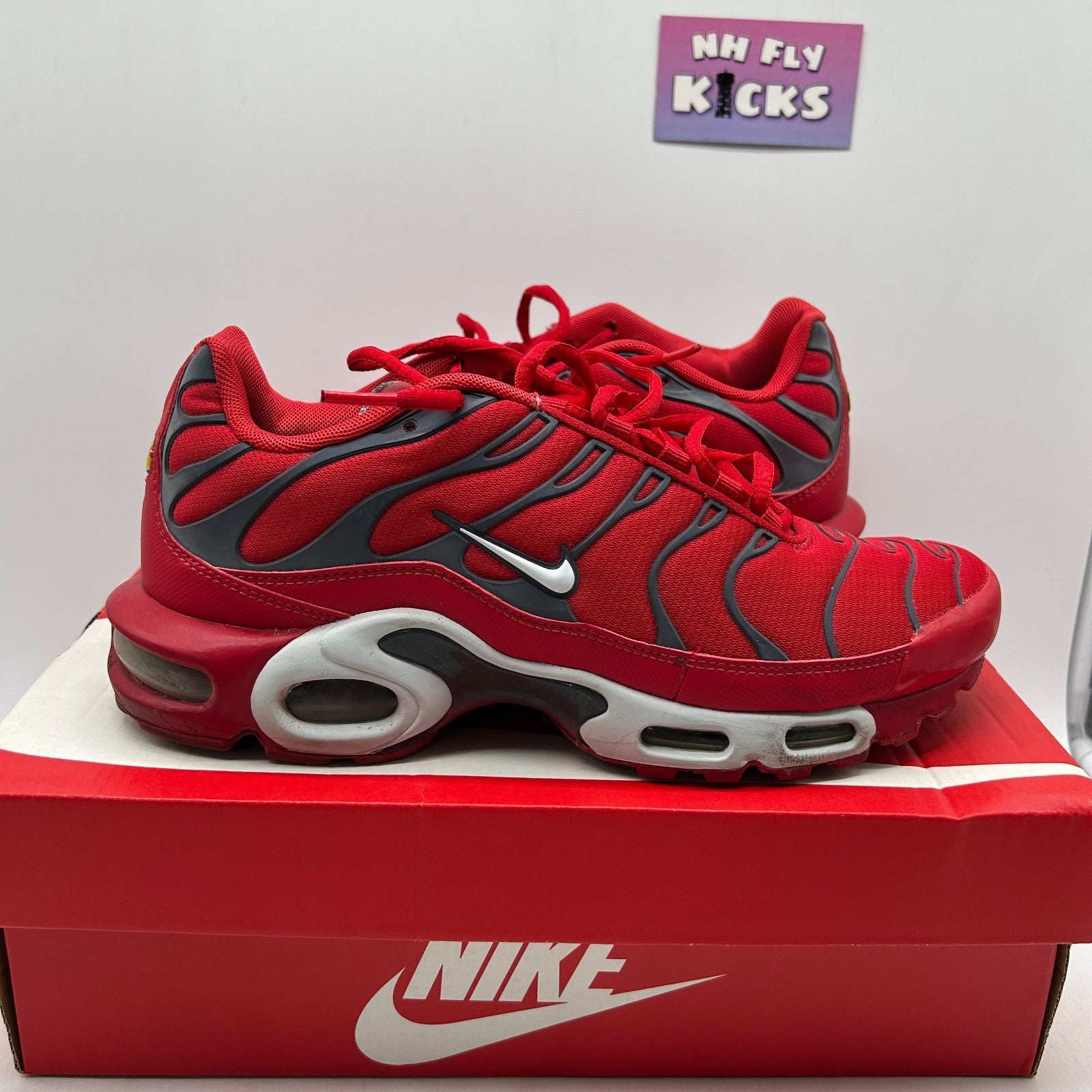 Size 8.5 Nike Air Max Plus University Red Pure Platinum