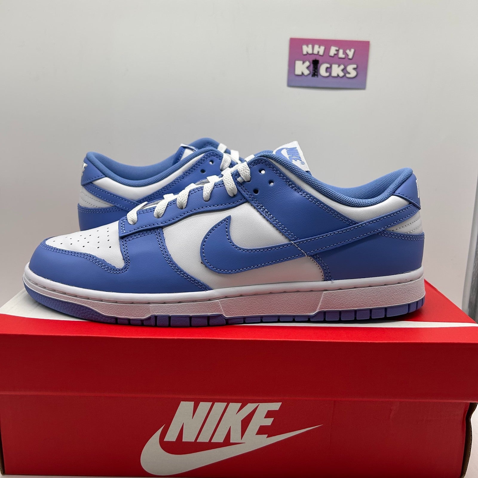 Size 11.5 Nike Dunk Low Retro Battys Polar Blue-White